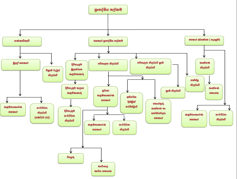 orgnization chart sinhala